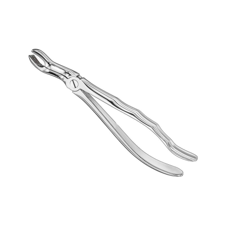 Extracting forceps, anat.